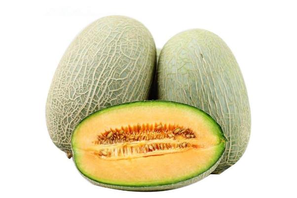 哈密瓜的坏处(怎么选哈密瓜才是甜的好的)