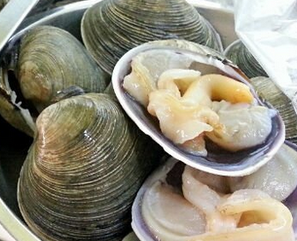 文蛤能当宵夜吗(花蛤隔夜还能吃吗)