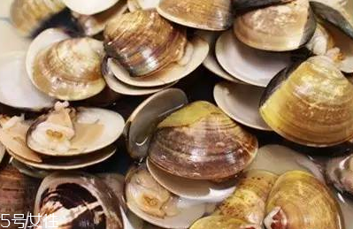 辣炒文蛤的做法(辣炒文蛤的做法大全窍门) 辣炒文蛤的做法(辣炒文蛤的做法大全窍门)