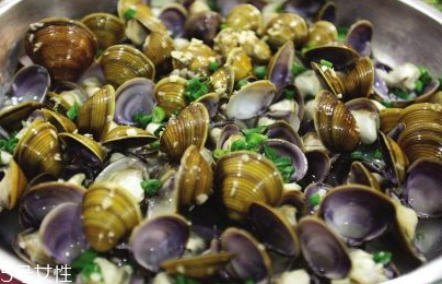 文蛤能治病吗(文蛤的功效和作用及禁忌)