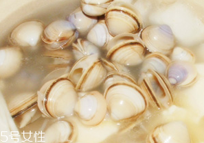 文蛤的功效(文蛤的功效和作用)