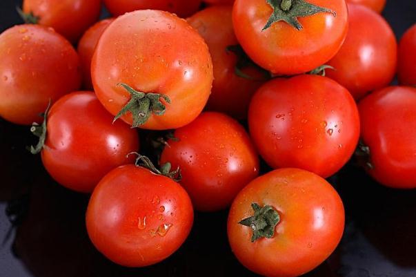 西红柿能美白皮肤吗(西红柿能美白皮肤吗)