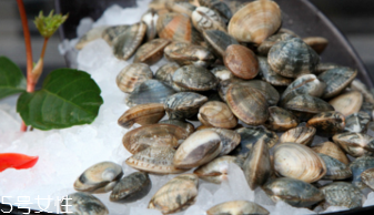 文蛤的做法(文蛤的做法 水煮)