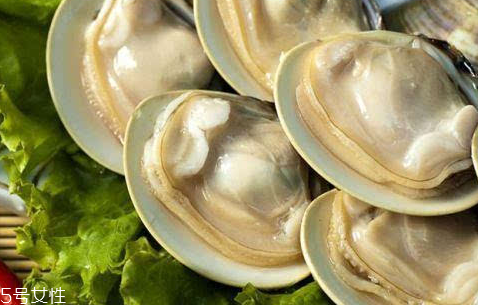 文蛤吃什么(文蛤吃什么食物)