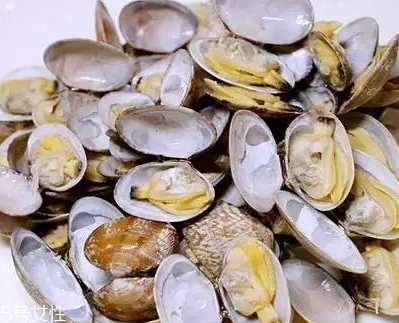 文蛤能和什么搭配吃(文蛤不能和什么同吃)