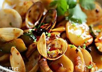 文蛤能下酒吗(文蛤的禁忌)