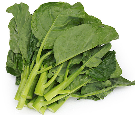 芥兰的适宜人群(芥兰头什么人群不适宜吃)