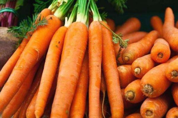 胡萝卜需要油才能有营养吗(胡萝卜需要油才能有营养吗)