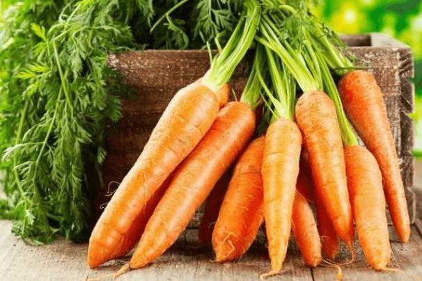 坏的胡萝卜吃了会不会中毒(胡萝卜坏了吃了会中毒) 坏的胡萝卜吃了会不会中毒(胡萝卜坏了吃了会中毒)