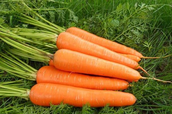 胡萝卜有维生素c吗(天然胡萝卜素) 胡萝卜有维生素c吗(天然胡萝卜素)