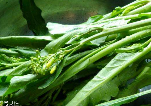 芥兰能做泡菜吗(芥兰能做泡菜吗)