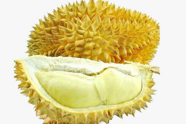 榴莲可以和牛奶一起吃吗?(榴莲可以下奶吗)