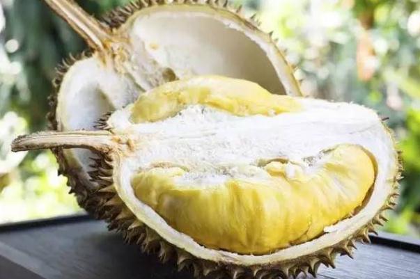 榴莲要冷冻还是冷藏(榴莲冷冻好吃还是冷藏好吃)