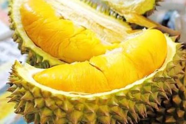 榴莲的营养价值有多高(榴莲的营养价值有多高对身体有什么好处) 榴莲的营养价值有多高(榴莲的营养价值有多高对身体有什么好处)