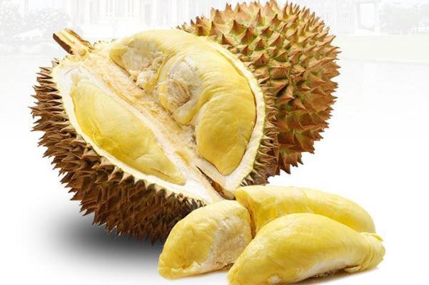 榴莲一天最多吃多少(榴莲一天最多吃多少)