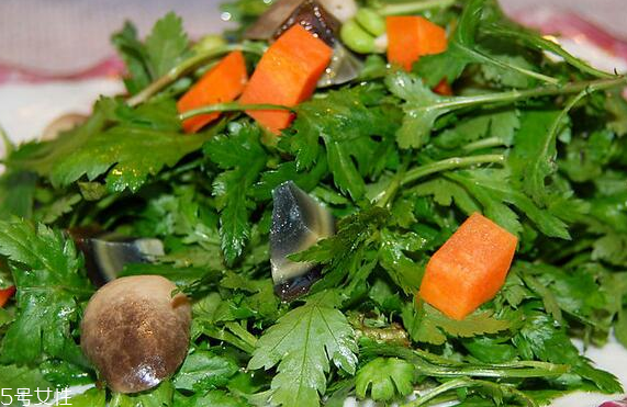 菊花脑是蔬菜吗(菊花脑是蔬菜吗)