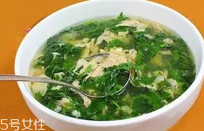 菊花脑是什么(菊花脑是什么菜)