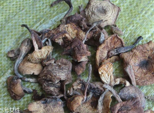 榛蘑和松蘑哪个好(榛蘑和松蘑哪个好吃) 榛蘑和松蘑哪个好(榛蘑和松蘑哪个好吃)