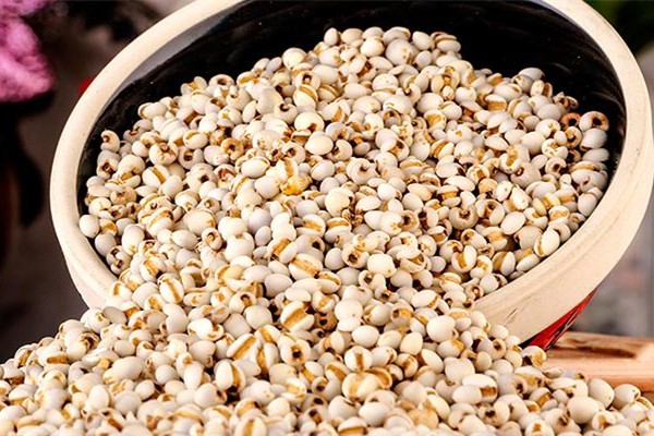 薏米吃多了有什么坏处(薏米吃多了有什么坏处吗)