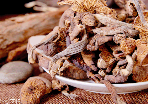 榛蘑的生活条件(榛蘑生长环境) 榛蘑的生活条件(榛蘑生长环境)