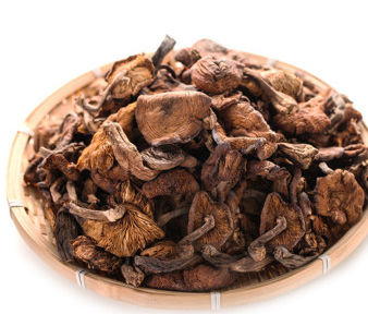 榛蘑的副作用(榛蘑的副作用)