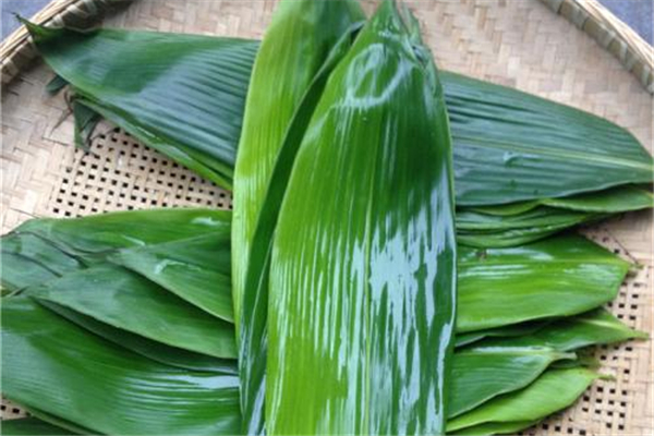 粽子叶泡多久使用(粽子叶泡多久可以用)
