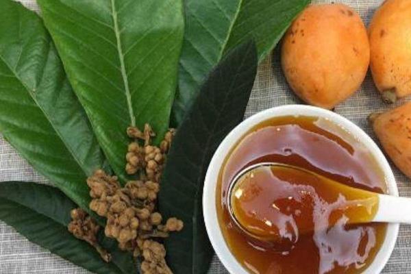 枇杷叶的药用价值(枇杷叶的药用价值和功效)