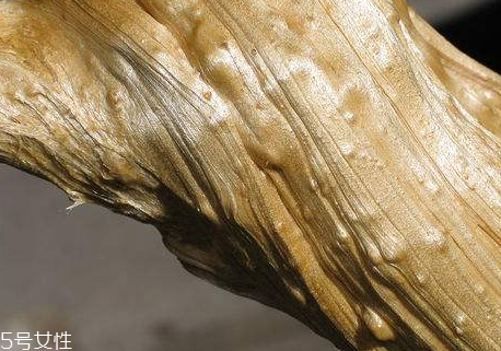 RCMA定妆散粉测评(rcma散粉鉴别官网) RCMA定妆散粉测评(rcma散粉鉴别官网)