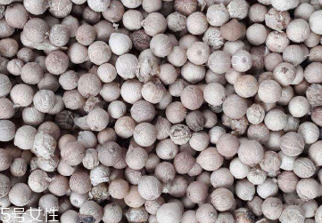 哺乳期妈妈能吃白胡椒吗(哺乳期妈妈能吃白胡椒吗) 哺乳期妈妈能吃白胡椒吗(哺乳期妈妈能吃白胡椒吗)