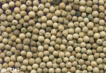 白胡椒能让树木死亡吗(白胡椒能杀死大树吗) 白胡椒能让树木死亡吗(白胡椒能杀死大树吗)