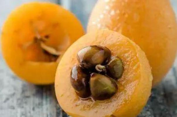 枇杷核能吃吗(枇杷核能吃吗?)