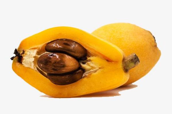 枇杷核的作用和功效(枇杷核的作用和功效)