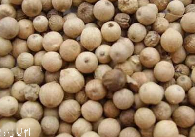 白胡椒的味道(白胡椒的味道是怎样的什么味道)