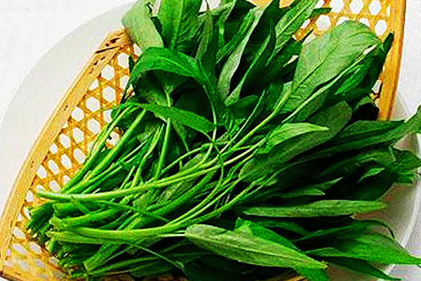 炒空心菜发黑怎么回事(炒空心菜发黑怎么回事)