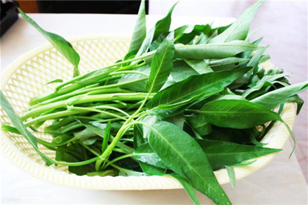 空心菜和什么食物相克(空心菜和什么食物相克?)