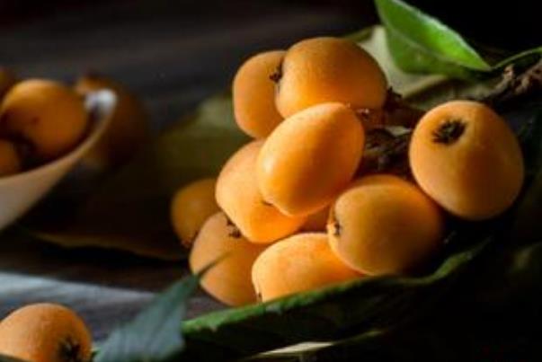 枇杷生吃可以止咳吗(枇杷生吃可以止咳吗)