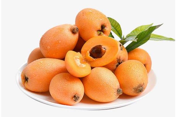 枇杷有核吗?(枇杷有毒吗)