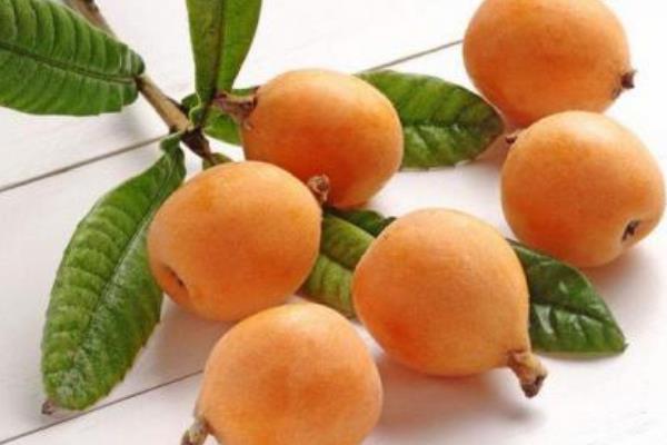 枇杷有什么好处和坏处(多吃枇杷有什么好处和坏处) 枇杷有什么好处和坏处(多吃枇杷有什么好处和坏处)