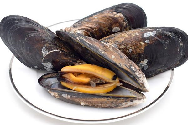 吃海虹中毒后有什么反应(吃海虹中毒的症状) 吃海虹中毒后有什么反应(吃海虹中毒的症状)