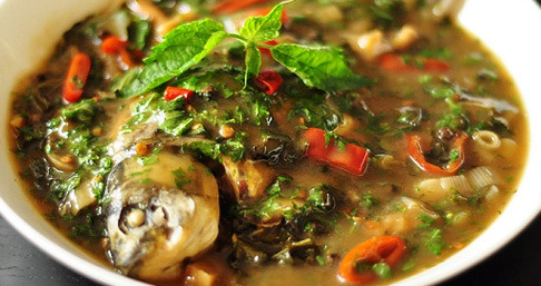 藿香的用量(藿香的用量是多少克)