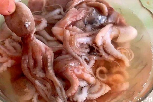 煮八爪鱼的方法(煮八爪鱼的方法)