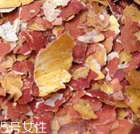 花生衣可以泡水喝吗(花生衣可以泡水喝吗)