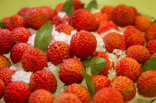 荔枝酒的功效和作用(荔枝酒的功效和作用及禁忌)