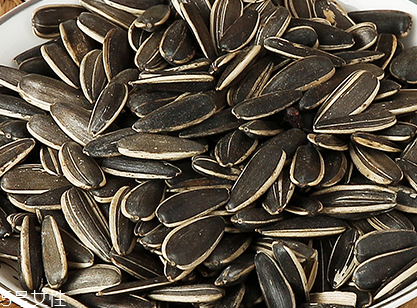 葵瓜子壳能做肥料吗(葵瓜子壳能做肥料吗)