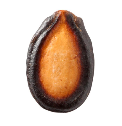 西瓜子价格(西瓜子价格行情)