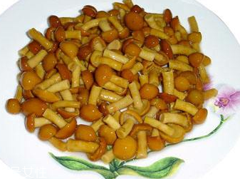 滑子菇可以和香菇一起吃吗(香菇和滑子菇能一起吃吗)