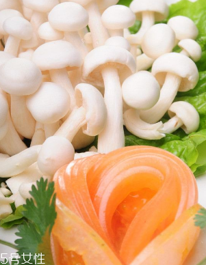 金针菇的功效(金针菇的功效和作用及营养价值)