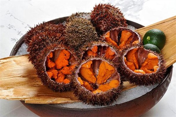 海胆吃起来什么感觉(海胆吃起来什么感觉)