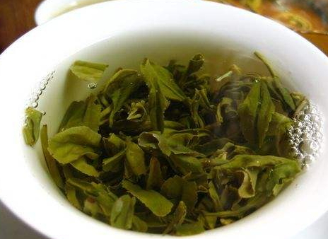 日照绿茶怎么采摘(日照绿茶怎么采摘)