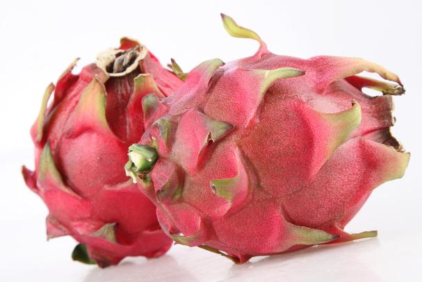 火龙果是仙人掌的果实吗(红心火龙果是仙人掌的果实吗) 火龙果是仙人掌的果实吗(红心火龙果是仙人掌的果实吗)